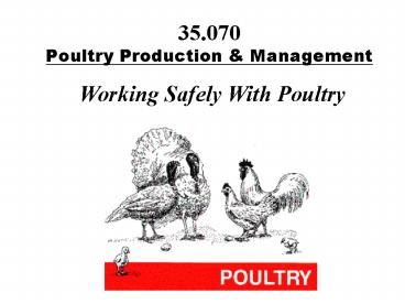 35'070 Poultry Production
