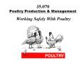 35'070 Poultry Production PowerPoint PPT Presentation