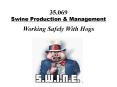 35'069 Swine Production PowerPoint PPT Presentation