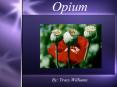 Opium PowerPoint PPT Presentation