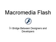 Macromedia Flash