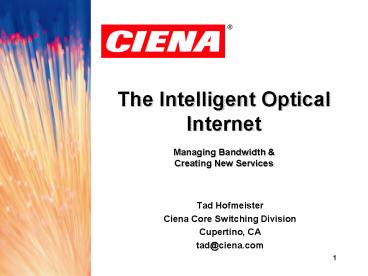 The Intelligent Optical Internet Managing Bandwidth