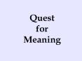 Quest for Meaning PowerPoint PPT Presentation