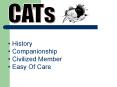 CATs PowerPoint PPT Presentation
