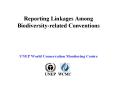 Reporting Linkages Among Biodiversityrelated Conventions PowerPoint PPT Presentation