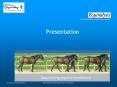 EquiStep PowerPoint PPT Presentation