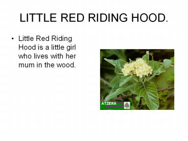 LITTLE RED RIDING HOOD.