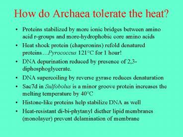 How do Archaea tolerate the heat?