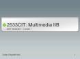 2533CIT: Multimedia IIB PowerPoint PPT Presentation