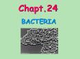 Chapt'24 PowerPoint PPT Presentation