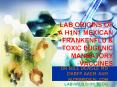 LAB ORIGINS OF A H1N1 MEXICAN FRANKENFLU PowerPoint PPT Presentation
