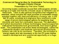 Commercial Opportunities for Sustainable Technology to Mitigate Climate Change PowerPoint PPT Presentation