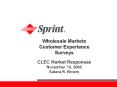 Wholesale Markets Customer Experience Surveys CLEC Market Responses November 13, 2003 Satara R. Brown PowerPoint PPT Presentation
