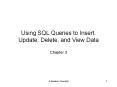 Using SQL Queries to Insert, Update, Delete, and View Data PowerPoint PPT Presentation