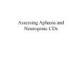Assessing Aphasia and Neurogenic CDs PowerPoint PPT Presentation
