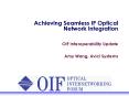 Achieving Seamless IP Optical Network Integration PowerPoint PPT Presentation