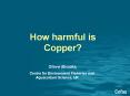 How harmful is Copper Steve Brooks, PowerPoint PPT Presentation