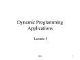 Dynamic Programming Applications