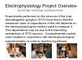 Electrophysiology Project Overview PowerPoint PPT Presentation