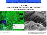 ANALOGIES BETWEEN RIVER AND TURBIDITY CURRENT MORPHOLOGY