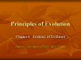 Principles of Evolution PowerPoint PPT Presentation