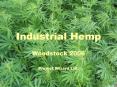 Industrial Hemp PowerPoint PPT Presentation