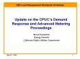 Update on the CPUCs Demand Response and Advanced Metering Proceedings PowerPoint PPT Presentation