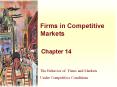 Firms in Competitive Markets PowerPoint PPT Presentation