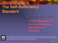 Pennsylvania SelfSufficiency Standard Training Presented by: The Womens Association for Womens Alter PowerPoint PPT Presentation