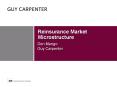 Reinsurance Market Microstructure PowerPoint PPT Presentation
