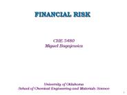 FINANCIAL%20RISK