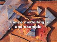 Choice modelling -and example