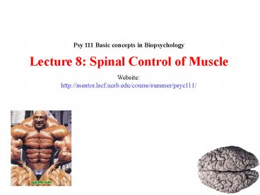 Psy 111 Basic concepts in Biopsychology
