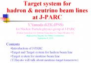 Target system for hadron