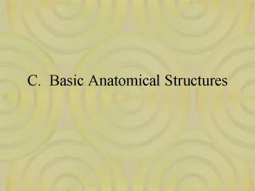 C' Basic Anatomical Structures