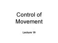 Control of Movement PowerPoint PPT Presentation