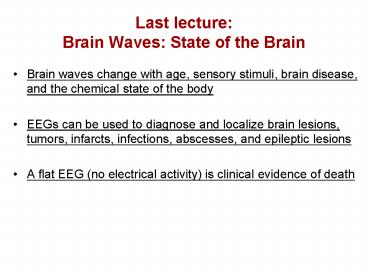 Last lecture: Brain Waves: State of the Brain