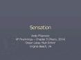 Sensation PowerPoint PPT Presentation