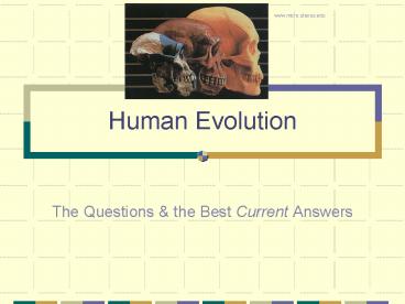 Human Evolution