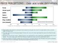 PRICE PERCEPTIONS  PowerPoint PPT Presentation