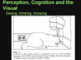 Perception, Cognition and the Visual PowerPoint PPT Presentation