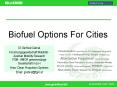 Biofuel Options For Cities PowerPoint PPT Presentation