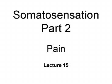 Somatosensation Part 2 Pain