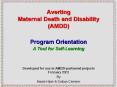 Averting Maternal Death and Disability AMDD PowerPoint PPT Presentation