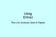 Using Entrez PowerPoint PPT Presentation