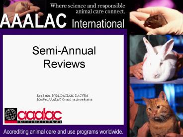 NCAB Presentation 2004