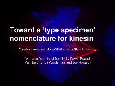 Toward a type specimen nomenclature for kinesin