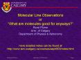 Molecular Line Observations or What are molecules good for anyways Ren Plume Univ' of Calgary Depart PowerPoint PPT Presentation