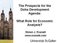 The Prospects for the Doha Development Agenda: What Role for Economic Analysis PowerPoint PPT Presentation