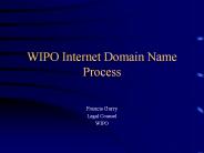 WIPO Internet Domain Name Process